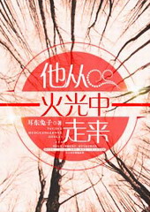 ���ӻ��������